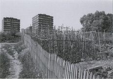 Cartolis Sarcelles (Val-d'Oise) - Jardins familiaux