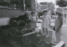 Cartolis Sarcelles (Val-d'Oise) - Scène de marché