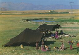 Cartolis  - Nomads in the valley, Anatalia