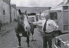 Cartolis Landivisiau (Finistère) - Concours régional du cheval breton