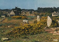 Cartolis Carnac (Morbihan) - Les alignements mégalithiques de Kermario