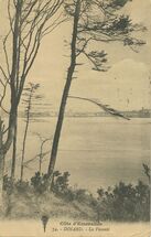 Cartolis Dinard (Ille-et-Vilaine) - La Vicomté