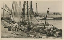 Cartolis Douarnenez (Finistère) - Arrivée des bateaux de pêche