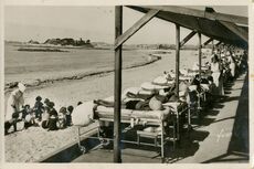 Cartolis Roscoff (Finistère) - Les chariots lits à la plage