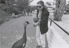 Cartolis Pessac (Gironde) - Rencontre au zoo