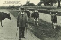 Cartolis Baud (Morbihan) - Le Toucheur de Bœufs de BAUD que l'on rencontre s ...