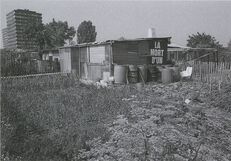 Cartolis Sarcelles (Val-d'Oise) - Jardins familiaux