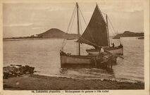Cartolis Carantec (Finistère) - Déchargement du goémon à l'Ile Callot