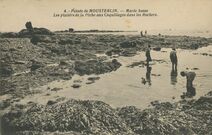 Cartolis Fouesnant (Finistère) - Pointe de MOUSTERLIN.