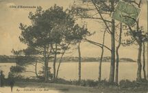 Cartolis Dinard (Ille-et-Vilaine) - La Baie