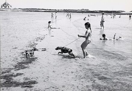 Cartolis Vannes (Morbihan) - Plage sur le golfe