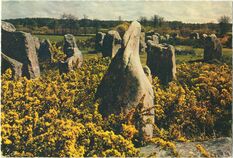 Cartolis Erdeven (Morbihan) - Monuments mégalithiques près de Carnac