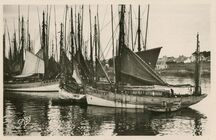 Cartolis Concarneau (Finistère) - Bateaux thonniers au port