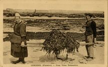 Cartolis Lesconil (Finistère) - Deux Vieux Goémoniers