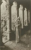 Cartolis  - Chagrin d'Amour