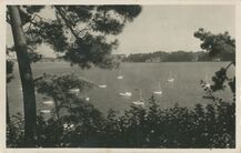 Cartolis Dinard (Ille-et-Vilaine) - L'Estuaire de la Rance vu du jardin public