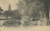 Cartolis Pont-Aven (Finistère) - Les Bords de l'Aven au Bois d'Amour
