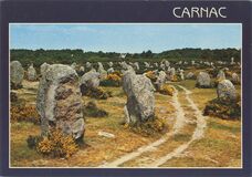 Cartolis Carnac (Morbihan) - Les alignements du Ménec
