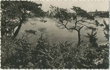 Cartolis Dinard (Ille-et-Vilaine) - Paysage de la Vicomté vers la Tour Solidor et Sai ...