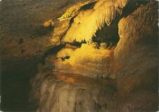Cartolis Savonnières (Indre-et-Loire) - Grottes pétrifiantes et sa faune préhistorique