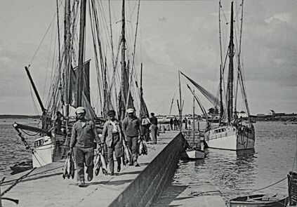 Cartolis Etel (Morbihan) - Retour de pêche