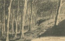 Cartolis Dinard (Ille-et-Vilaine) - La Vicomté