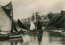 Cartolis Douarnenez (Finistère) - Bateaux de pêche dans le port