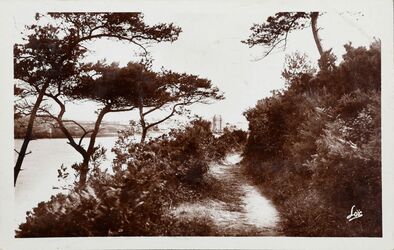 Cartolis Dinard (Ille-et-Vilaine) - DINARD-la-VICOMTE