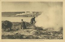Cartolis Plogoff (Finistère) - POINTE DU RAZ