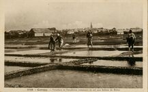 Cartolis Carnac (Morbihan) - Paludiers et Paludières ramassant du sel aux Sali ...