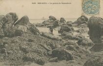 Cartolis Fouesnant (Finistère) - BEG-MEIL