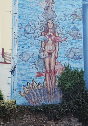 Cartolis  - Ferrol