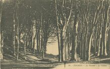 Cartolis Dinard (Ille-et-Vilaine) - La Vicomté
