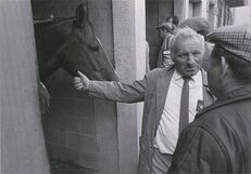 Cartolis Landivisiau (Finistère) - Concours régional du cheval breton