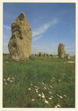 Cartolis Carnac (Morbihan) - Les alignements du Ménec sont composés de 1169 m ...