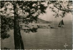 Cartolis Logonna-Daoulas (Finistère) - Le petit port de Logonna sur la rivière de l'Hôp ...