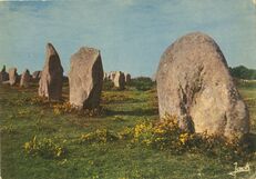 Cartolis Carnac (Morbihan) - Alignements de Menhirs à Kermario