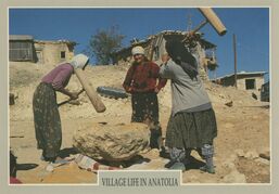 Cartolis  - VILLAGE LIFE IN ANATOLIA