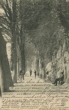 Cartolis Morlaix (Finistère) - Cours Beaumont