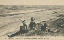 Cartolis Plogoff (Finistère) - LA POINTE DU RAZ.