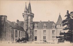 Cartolis Névez (Finistère) - Château du Hénan