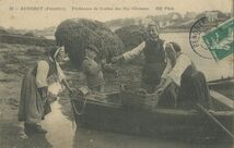 Cartolis Bénodet (Finistère) - Pêcheuses de crabes des îles Glénans