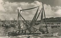 Cartolis Douarnenez (Finistère) - Les bateaux sardiniers dans le port