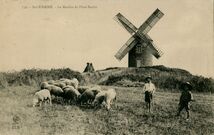 Cartolis Saint-Lunaire (Ille-et-Vilaine) - Le Moulin de Plate-Roche