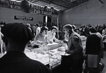 Cartolis Vannes (Morbihan) - Marché couvert, place des Lices