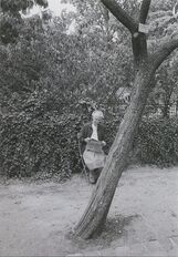 Cartolis Paris (Paris) - Jardin des plantes