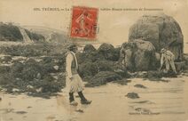 Cartolis Douarnenez (Finistère) - TREBOUL