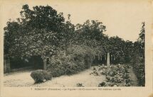 Cartolis Roscoff (Finistère) - Le Figuier séculaire (1610) couvrant de 700 mètr ...